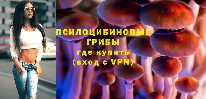 Галлюциногенные грибы Magic Shrooms  что такое наркотик  Арсеньев 